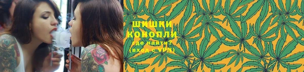 эйфоретик Новодвинск