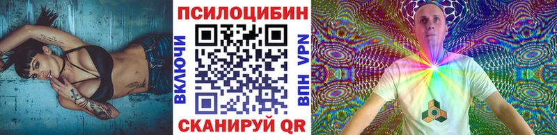 Галлюциногенные грибы Psilocybine cubensis  Печоры 